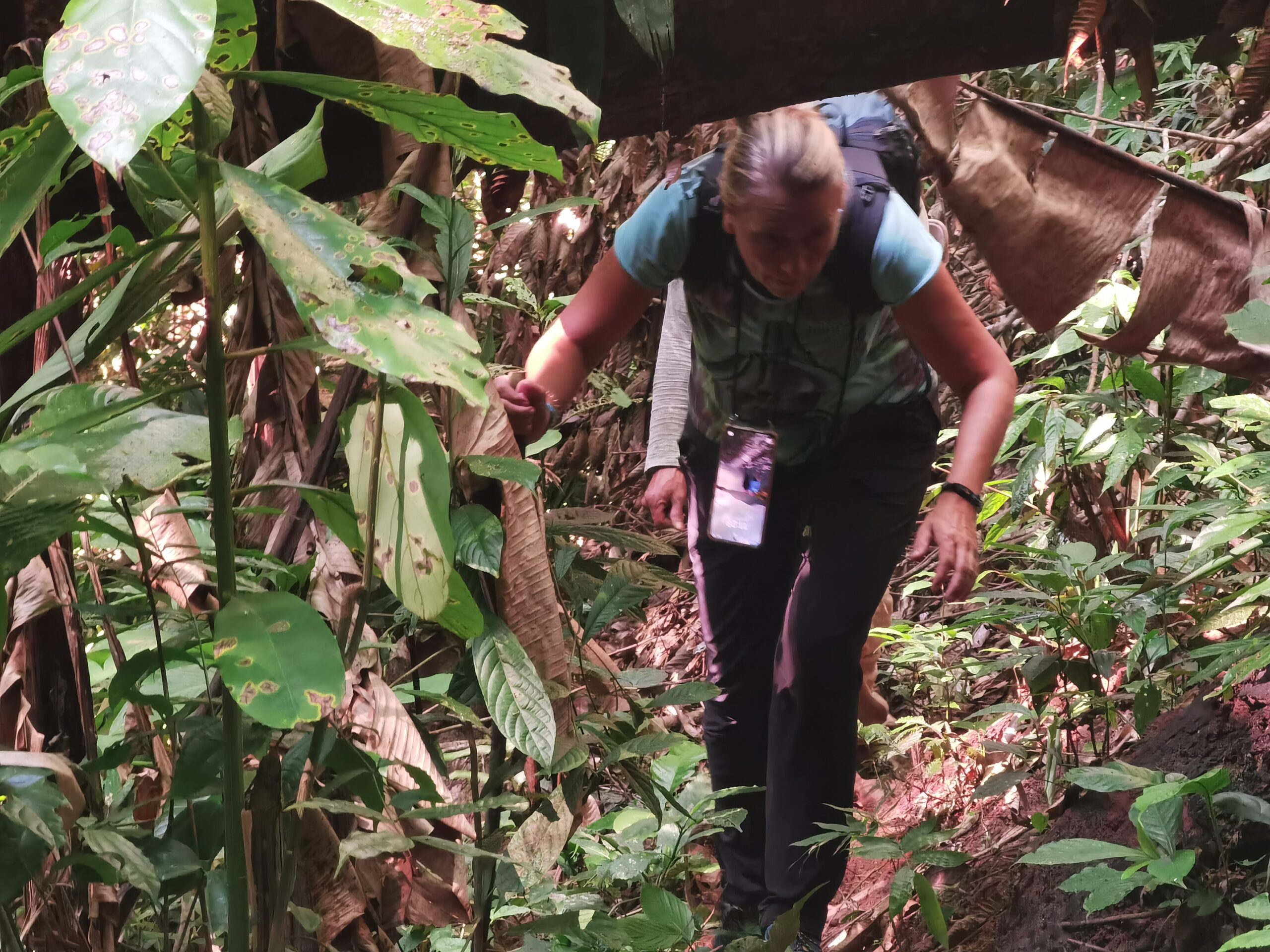 Zurück in die Zivilisation